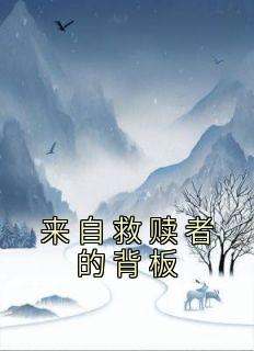 来自救赎者的背板
