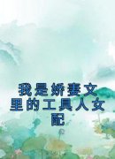 我是娇妻文里的工具人女配全章节