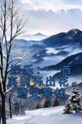 《冷枫李雅婷》已完结版全文章节