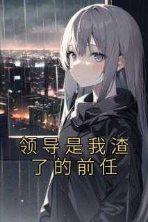 领导是我渣了的前任