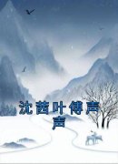 好书推荐《沈茜叶傅声声》沈茜叶