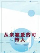 《从未被爱的可怜人》沈念陆京泽