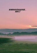 《老婆的白月光出狱后，我死了》