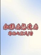 《迟砚苏离沫》完结版在线阅读 《