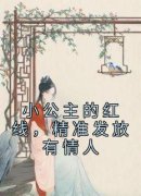 林闪闪林辰赫小说 《小公主的红线