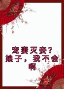 《宠妻灭妾？娘子，我不会啊》盛