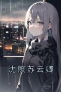 《沈照苏云卿》小说全文精彩试读
