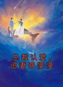 总裁认爱，追妻路漫漫苏绵厉墨行