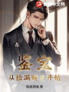 江峰苏芊书名叫什么_鉴宝：从捡漏