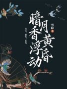 《暗香浮动月黄昏》韩微韩念大结