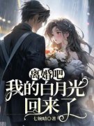 纪暖霍安泽离婚吧，我的白月光回