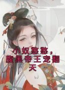 《小奴憨憨，腹黑帝王宠翻天》小