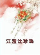 《江澄沈珍珠》江澄沈珍珠章节列