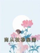 商从枝穆星阑章节 商从枝穆星阑小