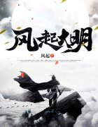 崇祯朱烨小说（崇祯朱烨风起大明