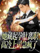 钱筱筱陆璀全文在线阅读 她藏起孕
