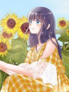 《乔清清陈岩》小说大结局精彩试
