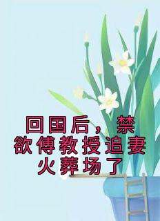 回国后，禁欲傅教授追妻火葬场了