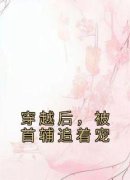 《穿越后，被首辅追着宠》顾长宁