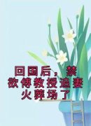 《回国后，禁欲傅教授追妻火葬场