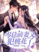 岑总前妻又犯桃花了宋栀清岑晞墨