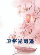 《卫怀光司遥》小说全集免费免费
