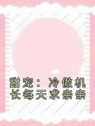 《甜宠：冷傲机长每天求亲亲》小