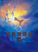 《贺灵珑刑见深》小说全文精彩阅