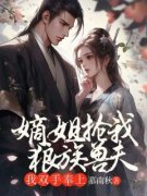 《落雪常风》小说章节列表免费试