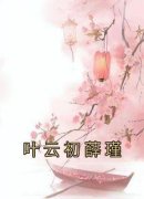 《叶云初薛瑾》小说章节目录免费