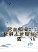封雪封凝宠夫如命：傲娇夫君哪里