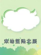 《宋幼笙陆北辰》小说完结版精彩