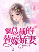 先婚后爱：总裁的替嫁娇妻《顾繁