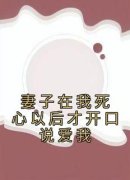 主角是妻子在我死心以后才开口说