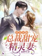 《虐爱成瘾：总裁甜宠精灵妻》宋