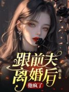 《跟前夫离婚后，他疯了》小说章