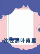 《叶南嘉沈在洲》沈在洲叶南嘉章
