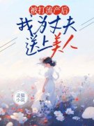 《被打流产后，我为丈夫送上美人