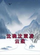 凌云柔沈确沈棠全文免费阅读 沈确