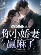 许灵夜霁北许晓巧小说 《交换人生