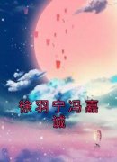 《徐羽宁冯嘉诚》小说全文精彩阅