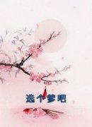 选个爹吧章节目录 《凤流筝秦如风