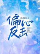 《偏心反击》小说章节列表在线试