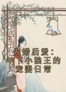 沈清棠琅斐全本资源下载APP 先婚后