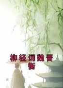 柳轻词魏晋衡小说全集免费在线阅