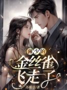 《薄少的金丝雀飞走了》小说完结