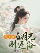 皇上的白月光刚还俗全文免费阅读