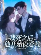 《我死之后，他开始说爱我》小说