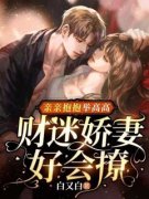 《苏宝宝时晏》小说章节目录在线