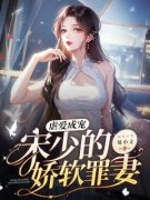 虐爱成宠：宋少的娇软罪妻小说免